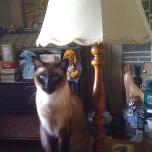 Meet your Posher, Beulah